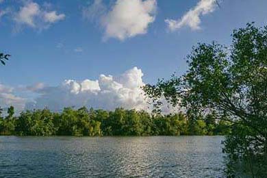 法国队在国际比赛中连续取得胜利，势如破竹，法国队要求重赛