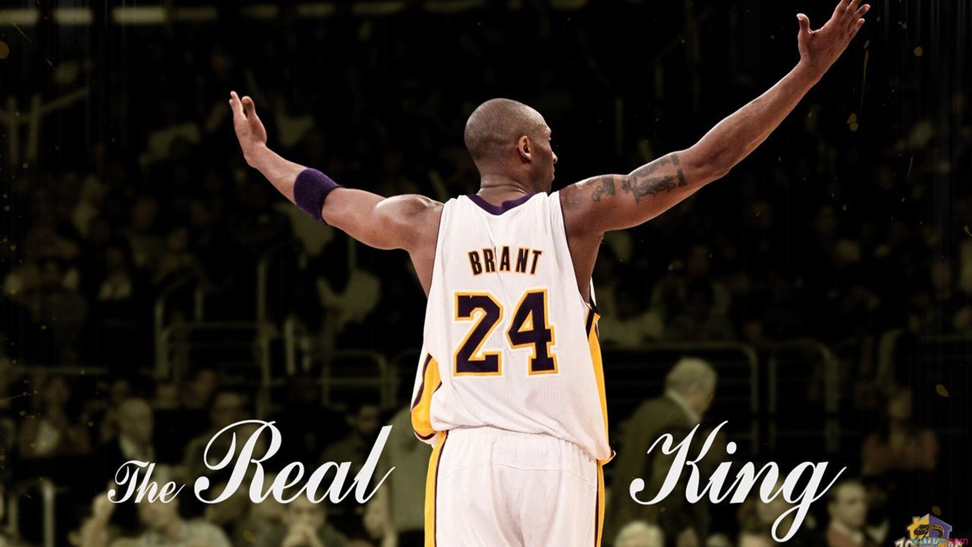 动感十足：极限运动嘉年华，极限运动集锦